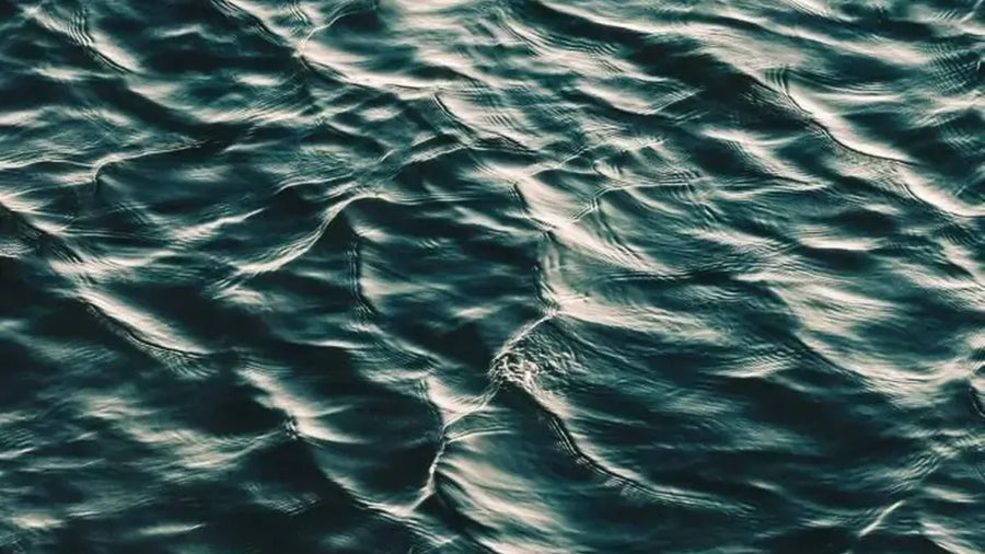 SEBA Hydrometrie